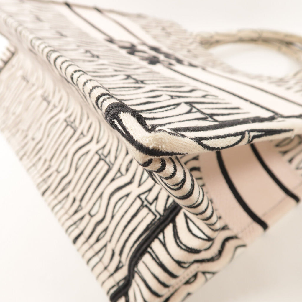 Dior Book Tote · Canvas