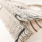 Dior Book Tote · Canvas