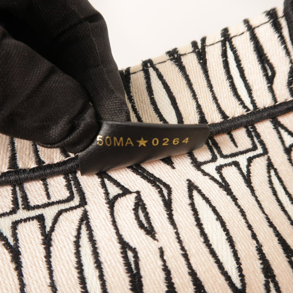 Dior Book Tote · Canvas