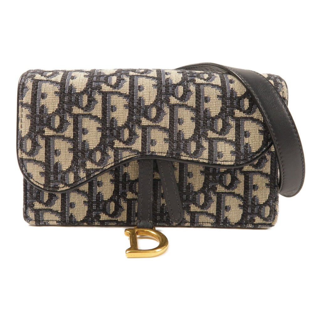 Dior Saddle Belt · Canvas