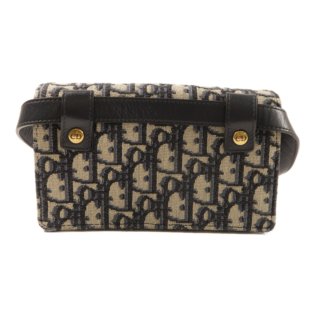 Dior Saddle Belt · Canvas