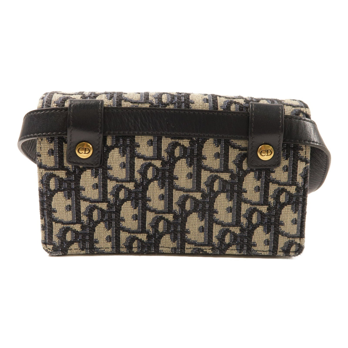 Dior Saddle Belt · Canvas