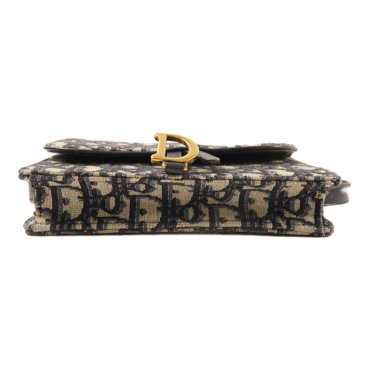 Dior Saddle Belt · Canvas