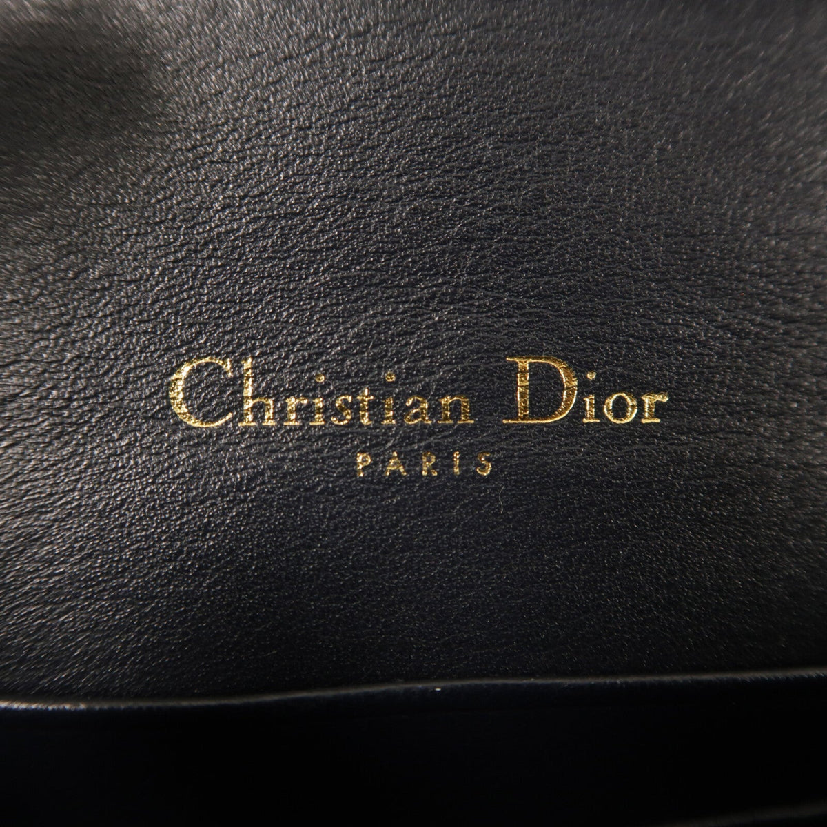 Dior Saddle Belt · Canvas
