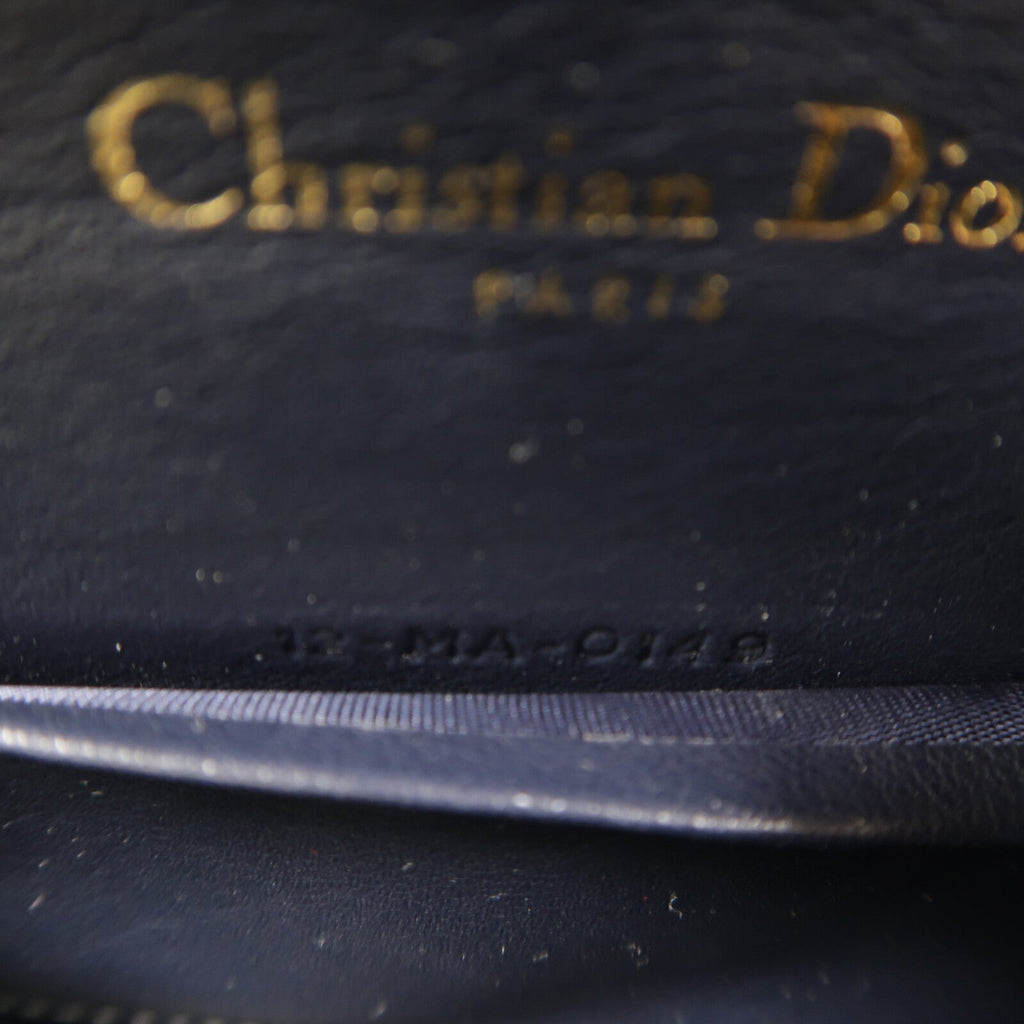 Dior Saddle Belt · Canvas