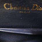 Dior Saddle Belt · Canvas