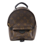 Louis Vuitton Palm Springs Mini · Monogram