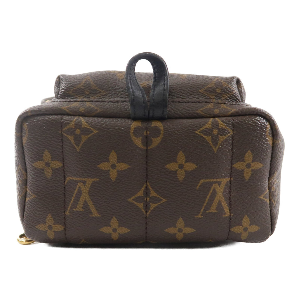 Louis Vuitton Palm Springs Mini · Monogram