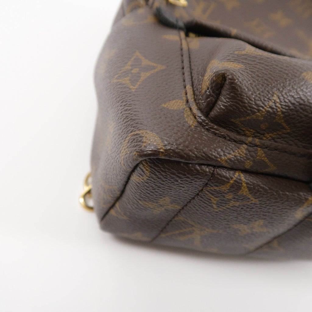 Louis Vuitton Palm Springs Mini · Monogram