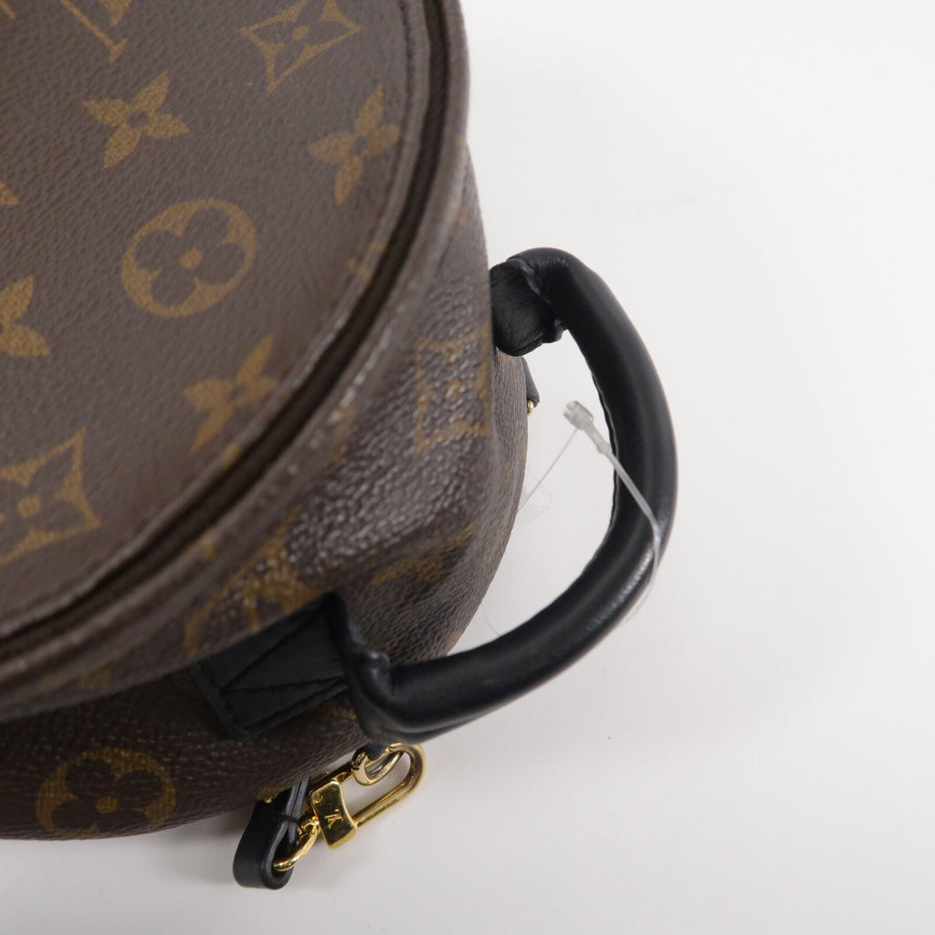 Louis Vuitton Palm Springs Mini · Monogram