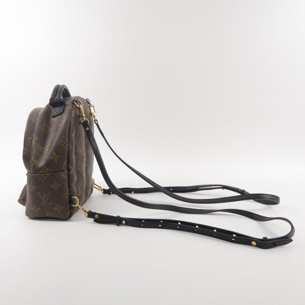 Louis Vuitton Palm Springs Mini · Monogram