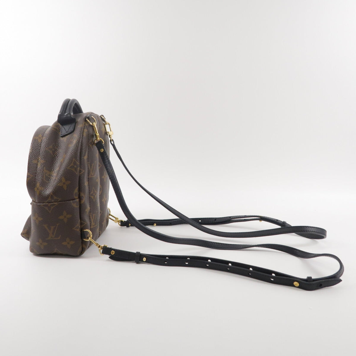 Louis Vuitton Palm Springs Mini · Monogram