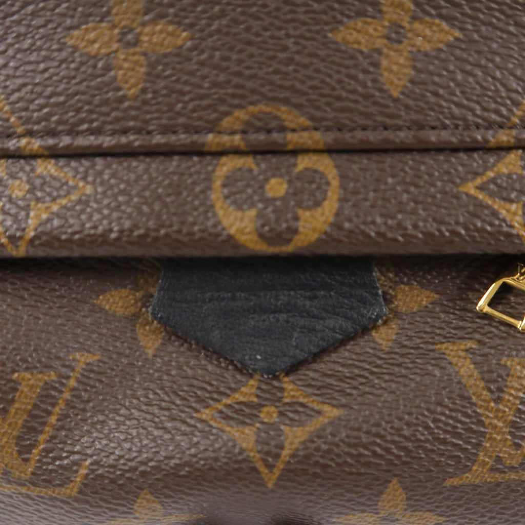 Louis Vuitton Palm Springs Mini · Monogram