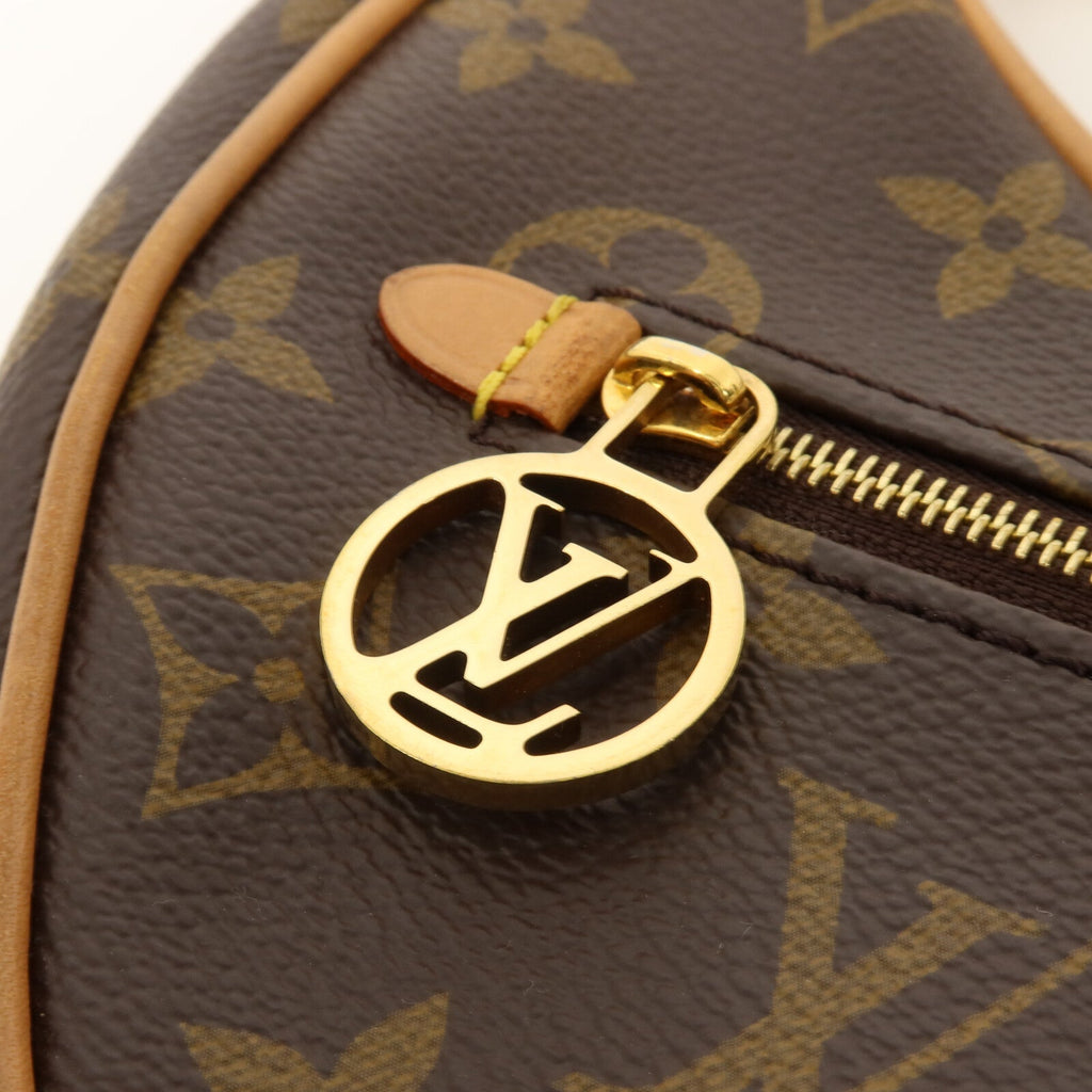 Louis Vuitton Loop · Monogram
