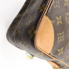Louis Vuitton Amazon · Monogram