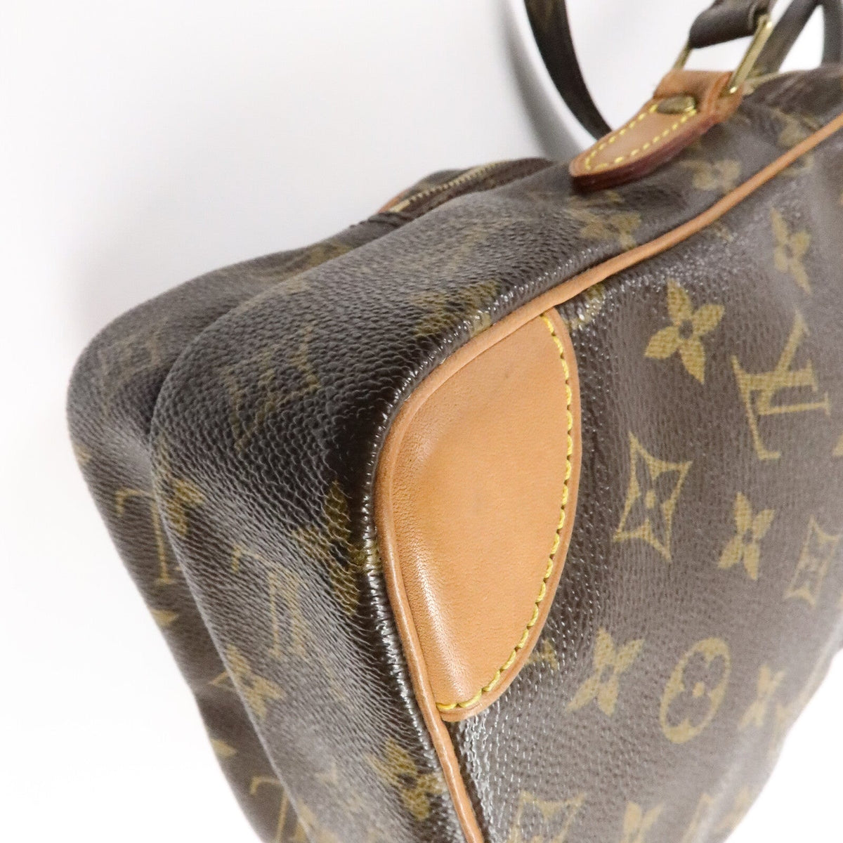 Louis Vuitton Amazon · Monogram