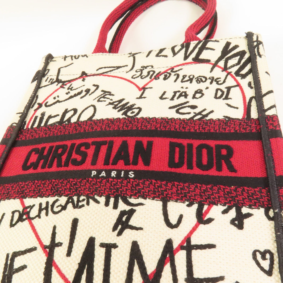 Dior Book Tote Vertical · Canvas