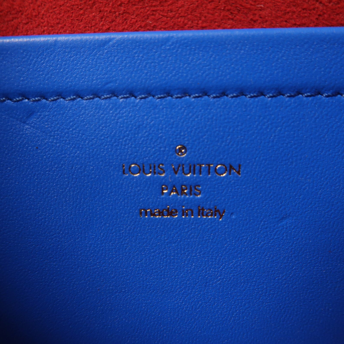 Louis Vuitton Pochette Coussin · Lambskin