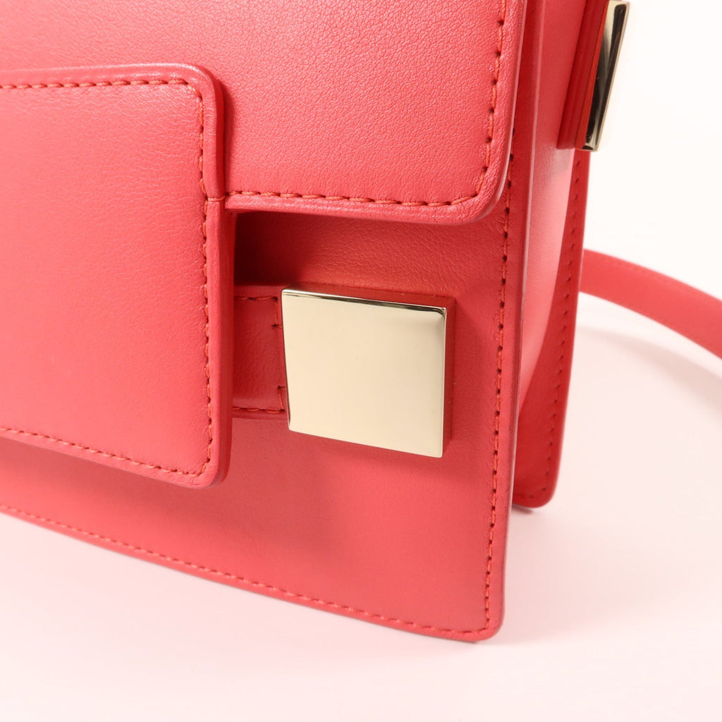 Delvaux Madame Mini · Calfskin