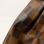 Louis Vuitton Trevi PM · Damier