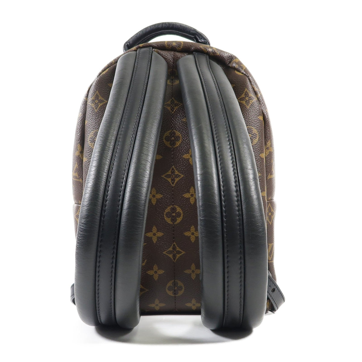Louis Vuitton Palm Springs PM · Monogram