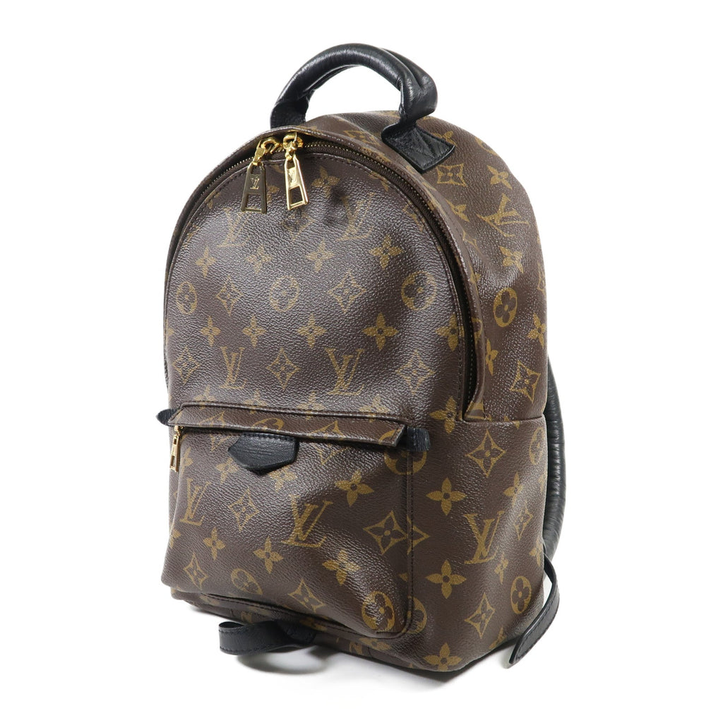 Louis Vuitton Palm Springs PM · Monogram