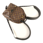 Louis Vuitton Palm Springs PM · Monogram