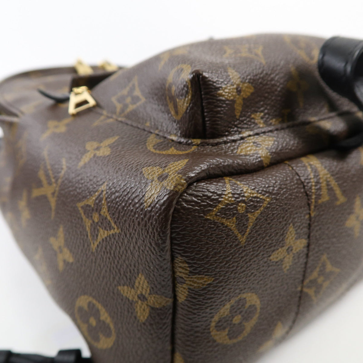Louis Vuitton Palm Springs PM · Monogram