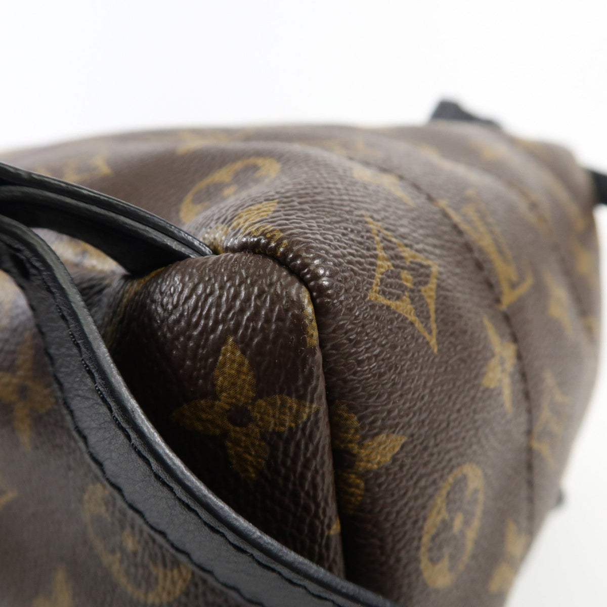 Louis Vuitton Palm Springs PM · Monogram