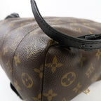 Louis Vuitton Palm Springs PM · Monogram