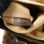 Louis Vuitton Normandy · Damier