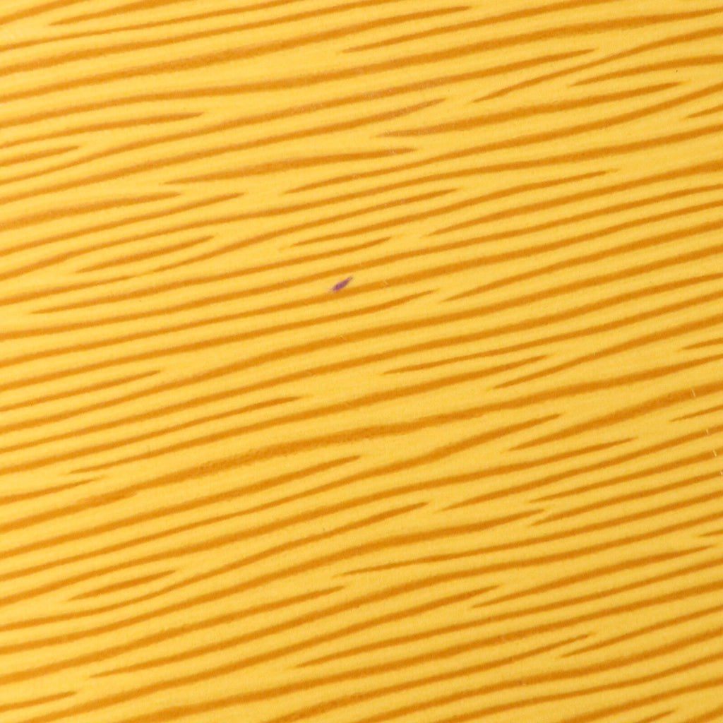 Louis Vuitton Cluny · Épi Leather