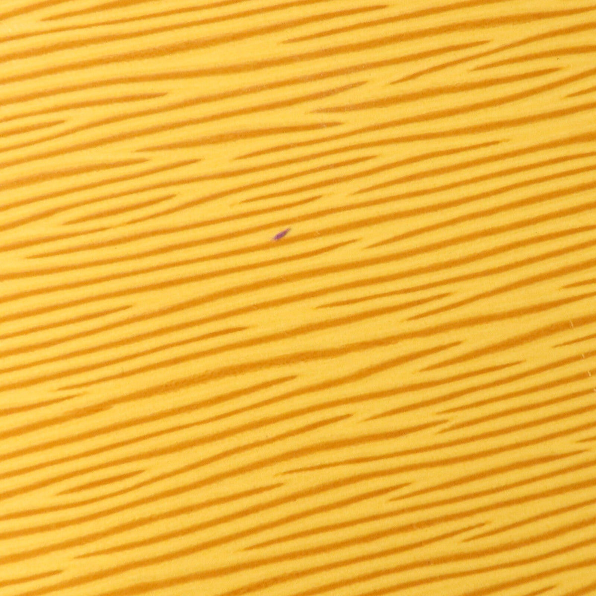 Louis Vuitton Cluny · Épi Leather