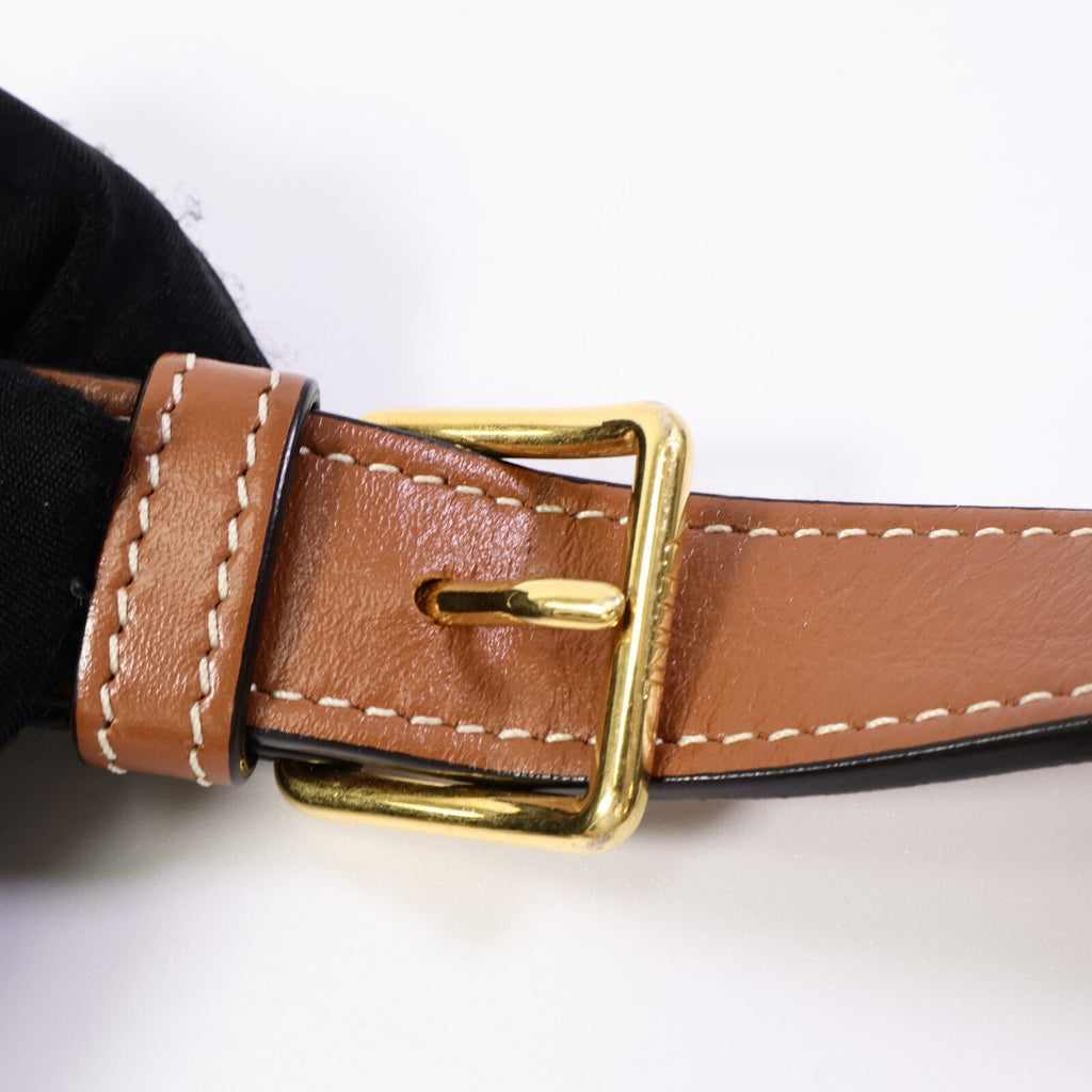 Celine Messenger · Coated Canvas