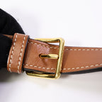 Celine Messenger · Coated Canvas