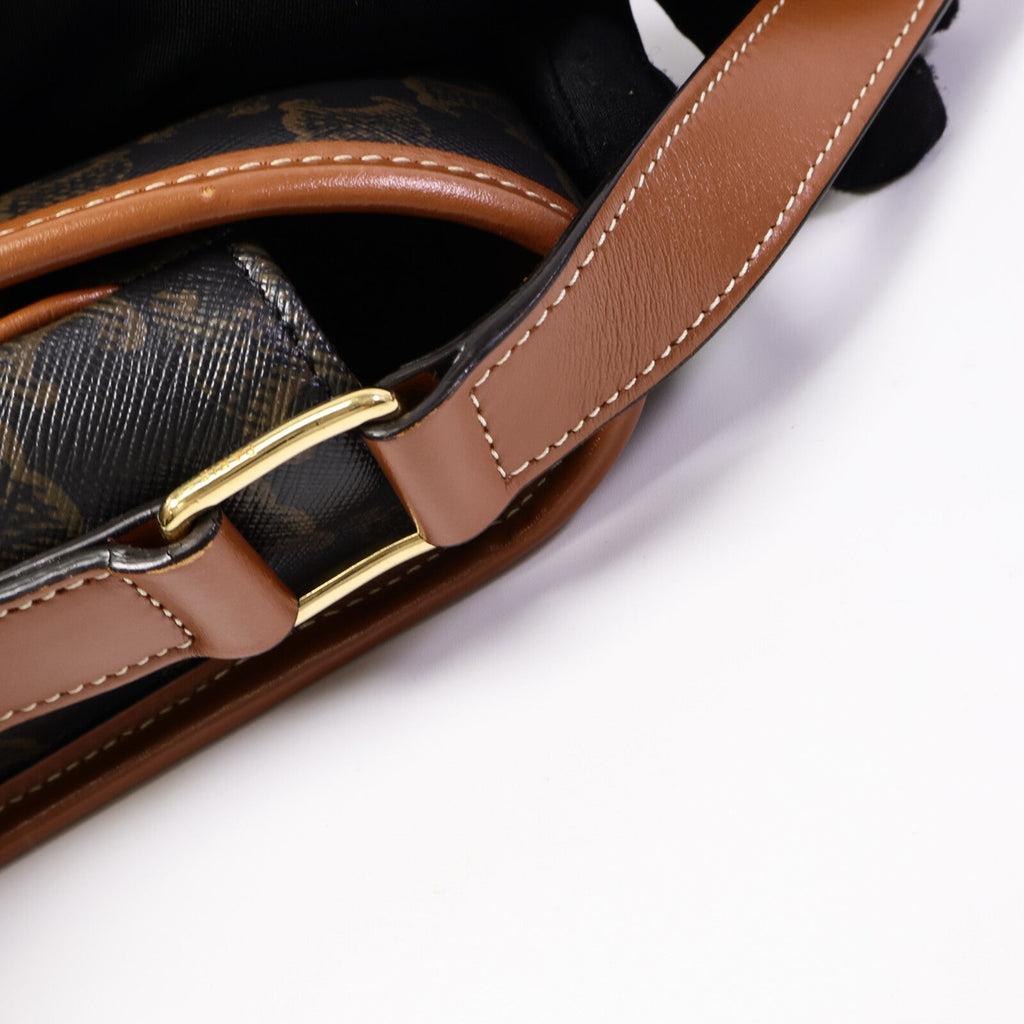 Celine Messenger · Coated Canvas