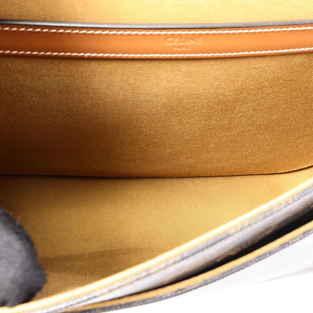 Celine Messenger · Coated Canvas