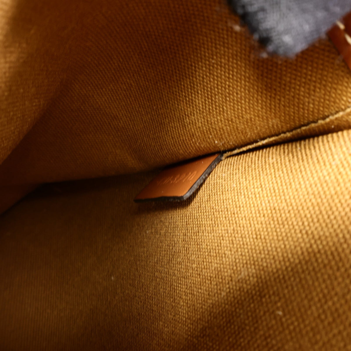 Celine Messenger · Coated Canvas