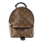 Louis Vuitton Palm Springs Mini · Monogram