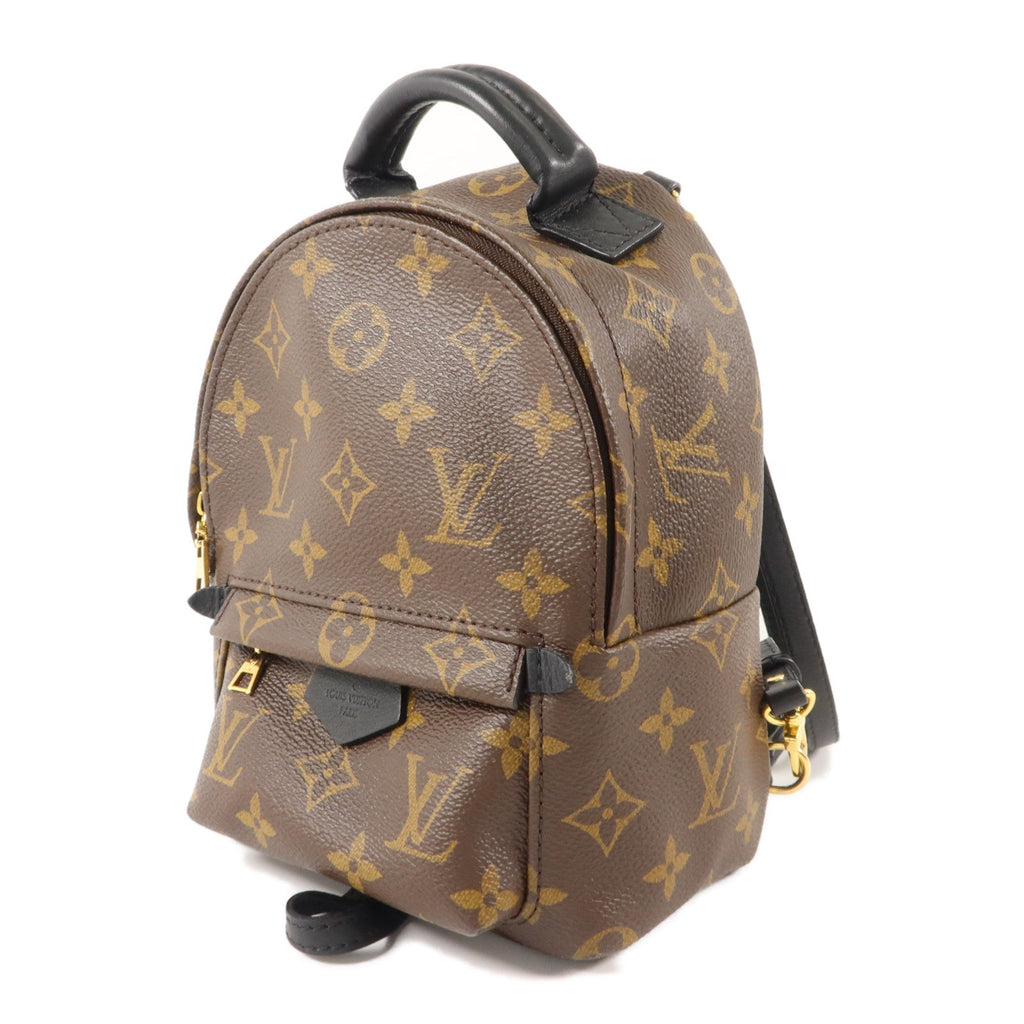 Louis Vuitton Palm Springs Mini · Monogram