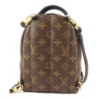 Louis Vuitton Palm Springs Mini · Monogram