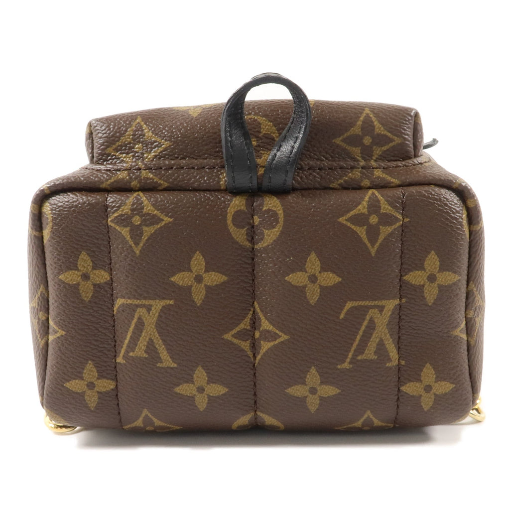 Louis Vuitton Palm Springs Mini · Monogram