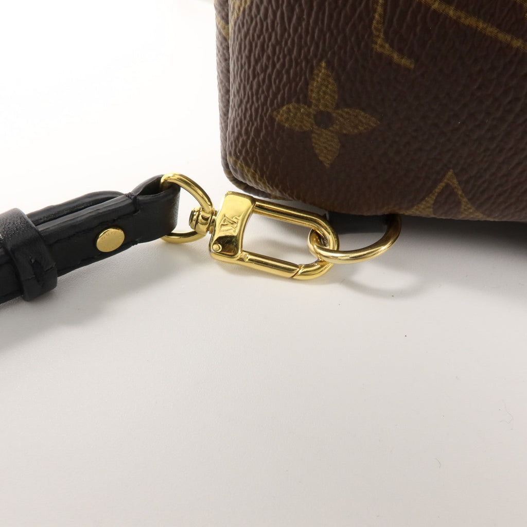 Louis Vuitton Palm Springs Mini · Monogram