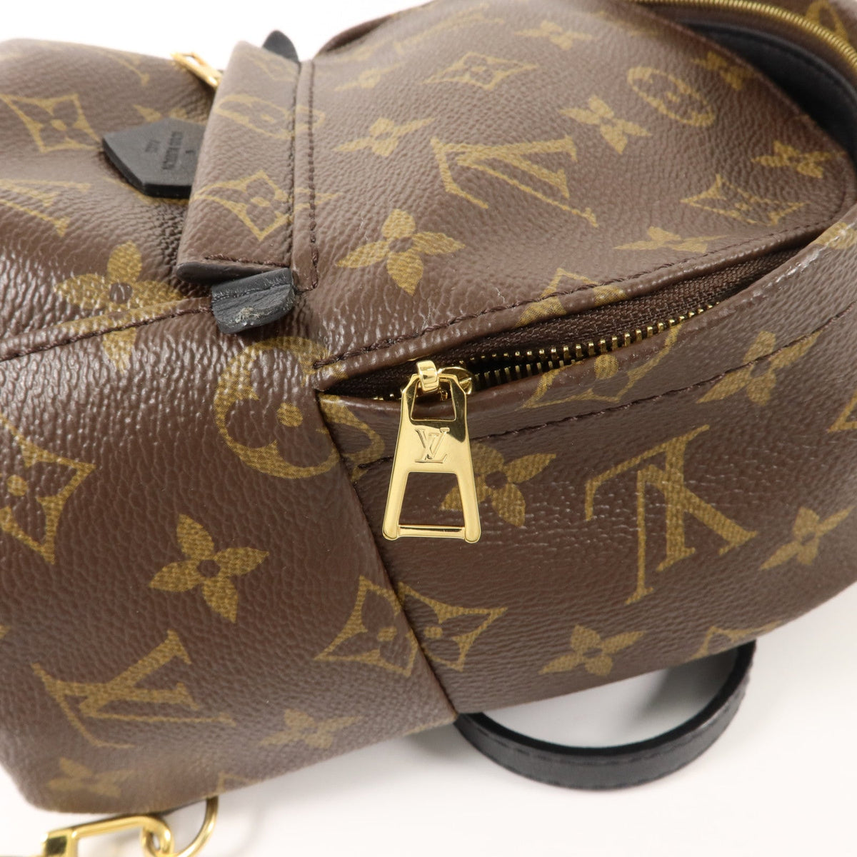 Louis Vuitton Palm Springs Mini · Monogram