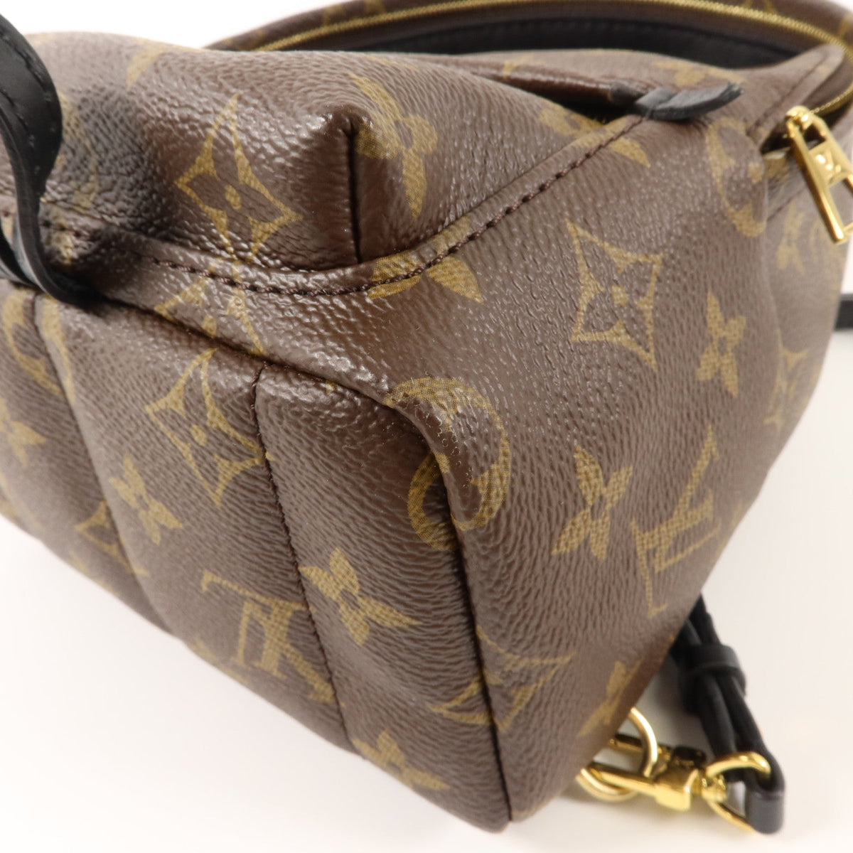 Louis Vuitton Palm Springs Mini · Monogram