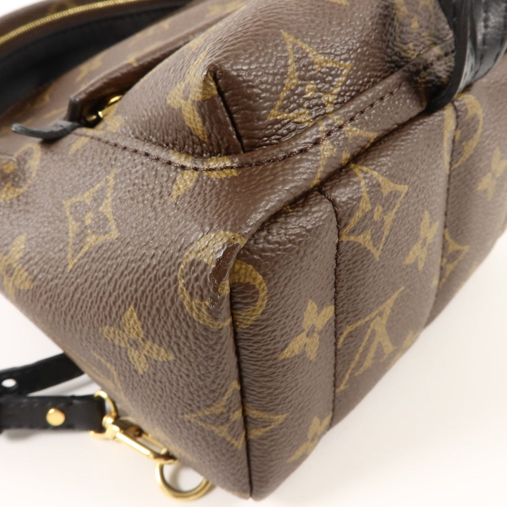 Louis Vuitton Palm Springs Mini · Monogram