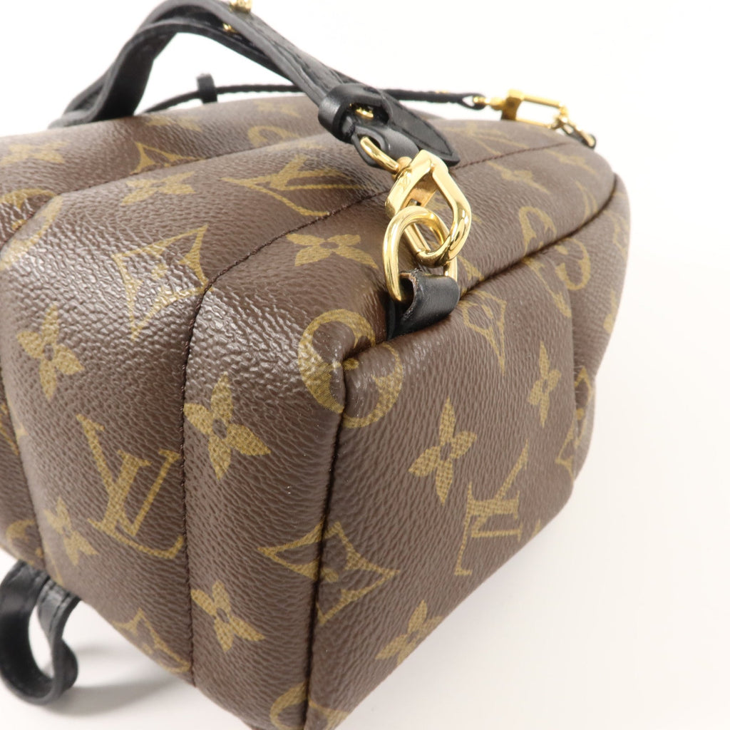 Louis Vuitton Palm Springs Mini · Monogram