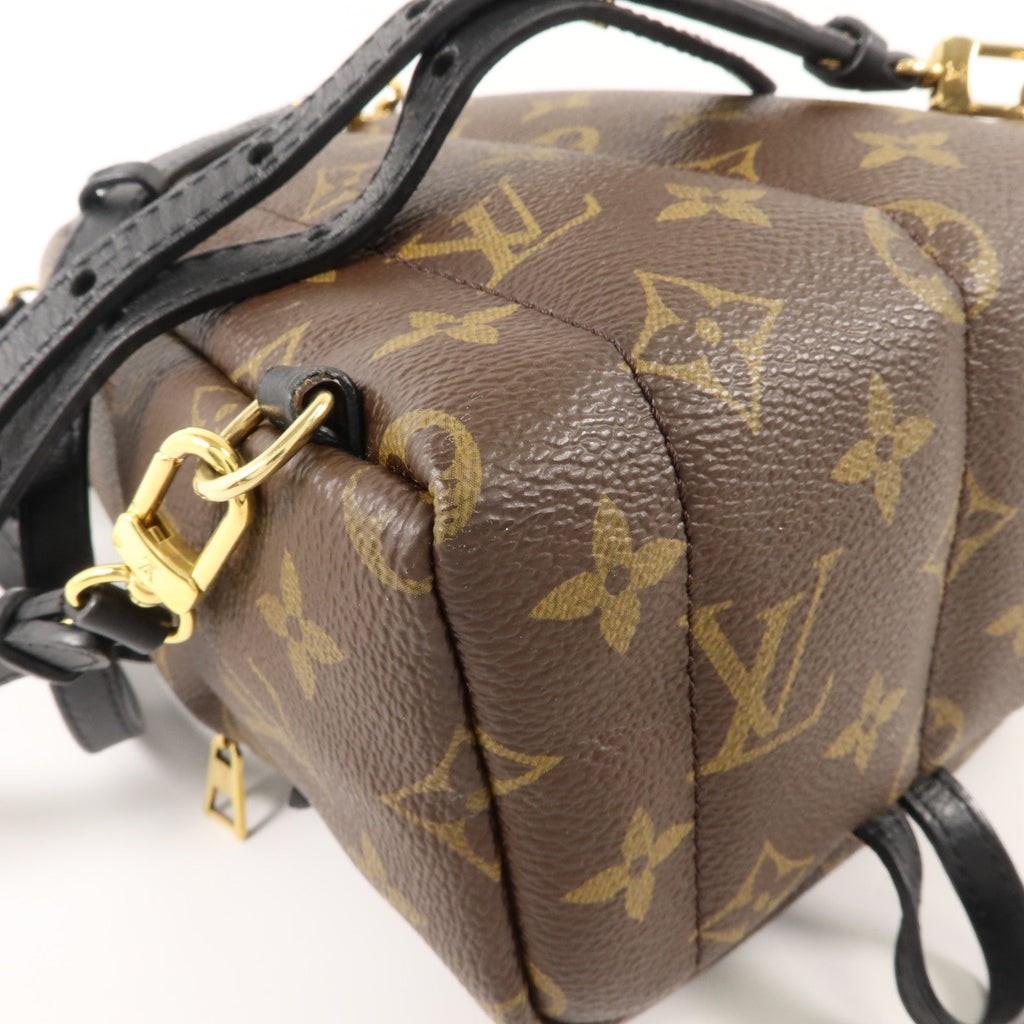 Louis Vuitton Palm Springs Mini · Monogram