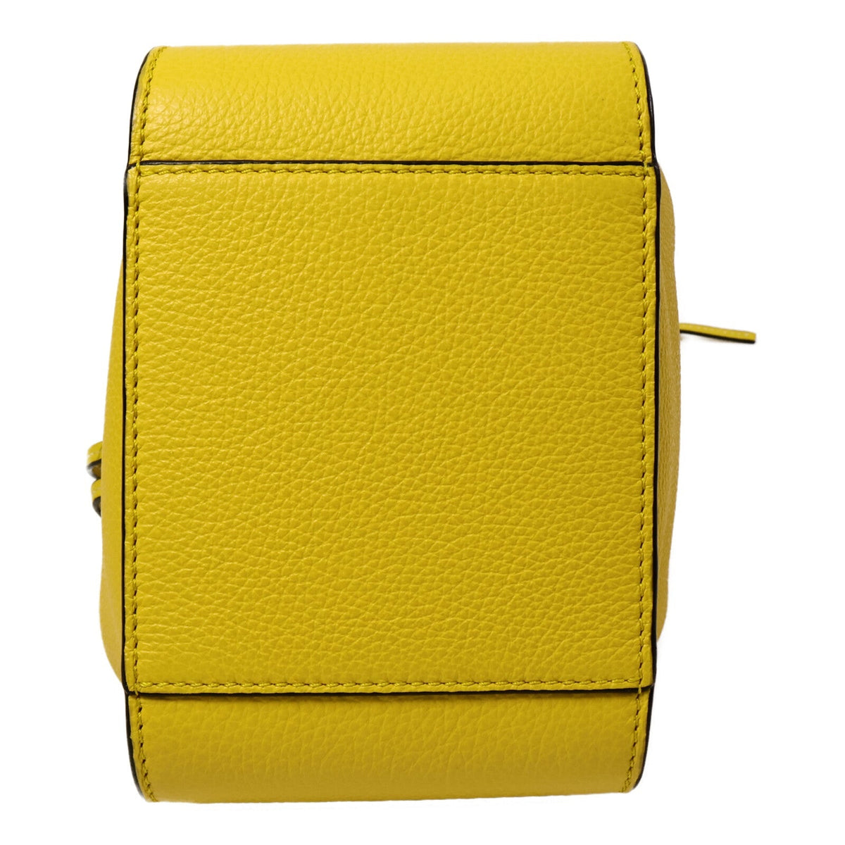 Loewe Hammock Mini · Calfskin