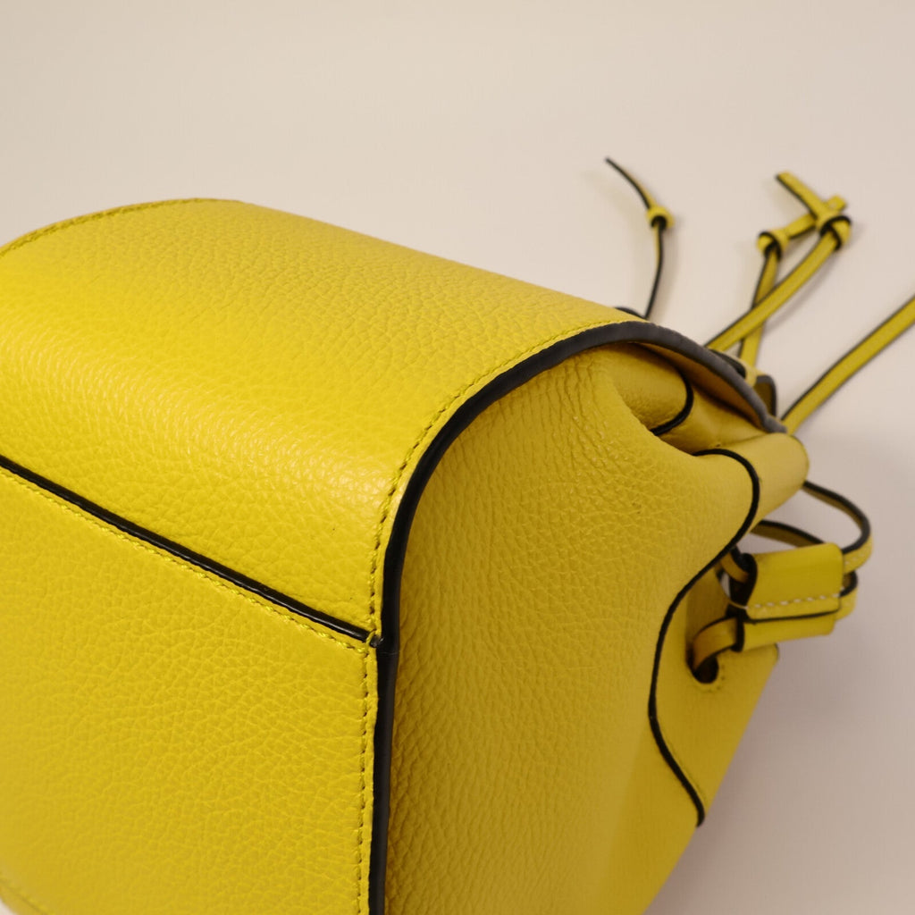 Loewe Hammock Mini · Calfskin